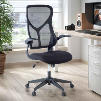 Chaise pour ordinateur Raptor, avec accoudoirs pliables et dossier ergonomique