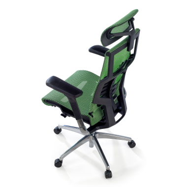 chaise ergonomique vert structure noire maille accoudoirs reglables 5d soutien lombaire appui tete 9