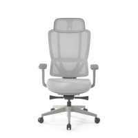 Chaise Ergonomique avec...