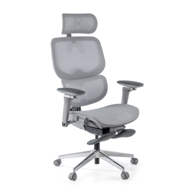 chaise ergonomique gris erghos x2 maille accoudoirs reglables 5d double soutien lombaire appui tete repose pieds extensible 12