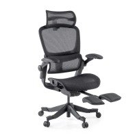 Chaise ergonomique avec...