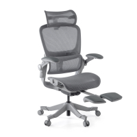 Chaise ergonomique avec...