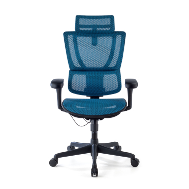 chaise ergonomique bleu chaise de bureau maille accoudoirs reglables 3d soutien lombaire appui tete 4