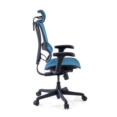 chaise ergonomique bleu chaise de bureau maille accoudoirs reglables 3d soutien lombaire appui tete 5