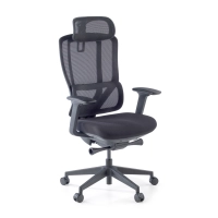 Chaise Ergonomique avec...