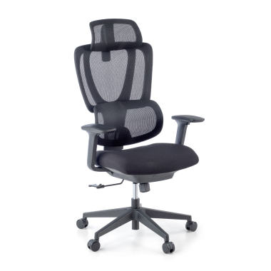 chaise ergonomique noir essenza maille accoudoirs reglables 3d double soutien lombaire appui tete 1