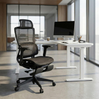 Chaise de Bureau Ergonomique avec repose-pieds Balance Pro, Bras 3D