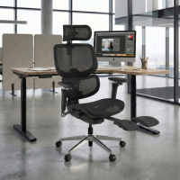 Chaise de bureau ergonomique Erghos X2, support lombaire flexible