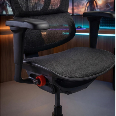 Support et Ajustabilité Max