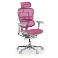 Chaise de direction...