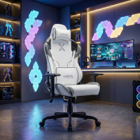 Chaise Gaming Hero, coussin lombaire et cervical