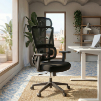 Chaise de Bureau Ergonomique Orbit avec Appui-tête, Support Lombaire