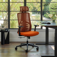 Chaise Ergonomique Quick,...