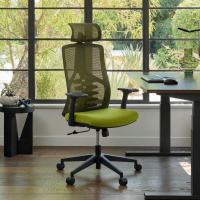 Chaise Ergonomique Quick, dossier bionique, accoudoirs réglables,