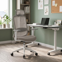 Chaise de bureau...