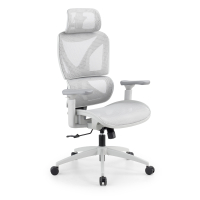 Chaise de bureau...