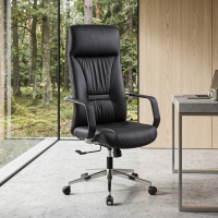 Fauteuil de direction...