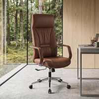 Fauteuil de direction...