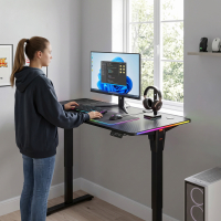 Bureau gaming assis-debout...
