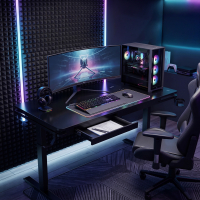 Bureau gaming assis-debout...