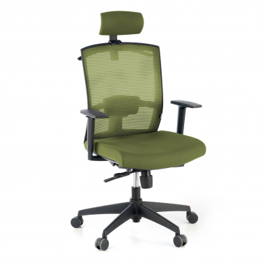chaise ergonomique vert structure noire appui tete maille accoudoirs reglables 1d soutien lombaire appui tete 1