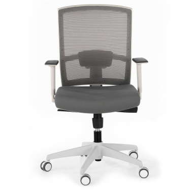 chaise ergonomique blanc gris structure blanche maille accoudoirs reglables 1d soutien lombaire 4