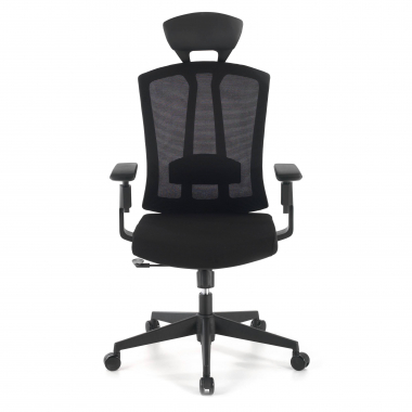 chaise ergonomique noir ridley maille accoudoirs reglables 3d soutien lombaire appui tete 4