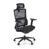 Chaise Ergonomique Winter, Support Lombaire, Appui-tête