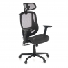 Chaise Ergonomique Locktech, avec Soutien Lombaire et Appui-tête