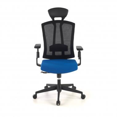 chaise ergonomique bleu ridley maille accoudoirs reglables 3d soutien lombaire appui tete 4