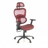Chaise Ergonomique Ergocity, avec coussin lombaire et accoudoirs 3D