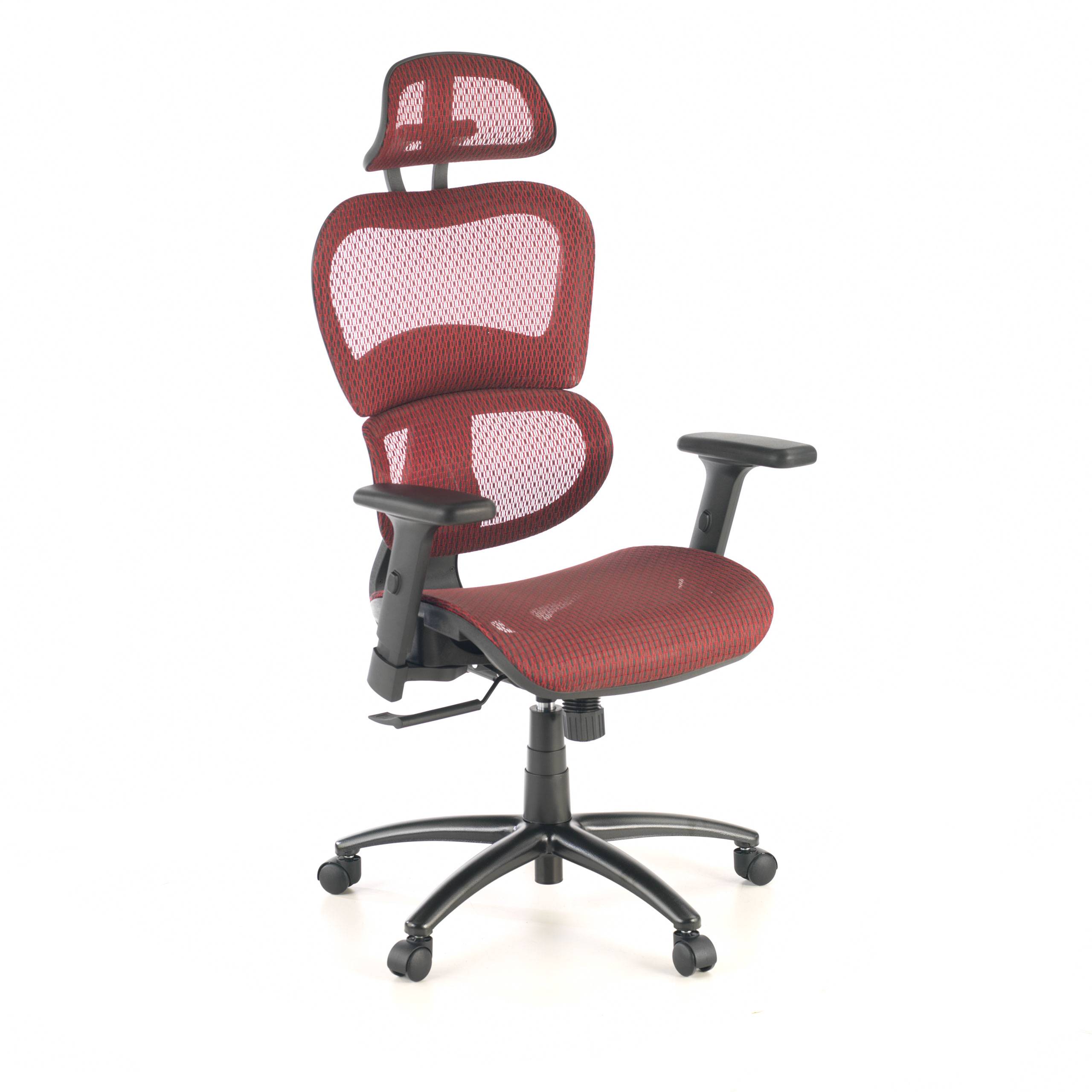 Chaise Ergonomique Ergocity, avec coussin lombaire et accoudoirs 3D