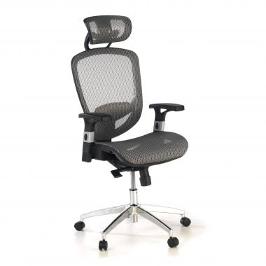 chaise de bureau gris flex maille accoudoirs mobiles soutien lombaire appui tete 1