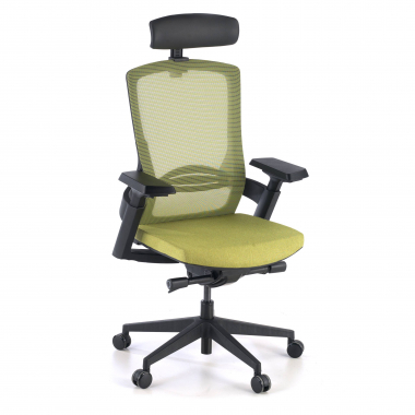 chaise ergonomique vert wagner maille accoudoirs reglables 3d soutien lombaire 1
