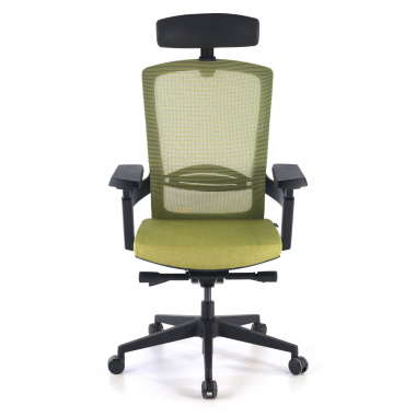 chaise ergonomique vert wagner maille accoudoirs reglables 3d soutien lombaire 3
