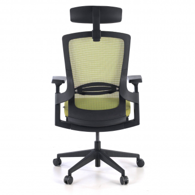 chaise ergonomique vert wagner maille accoudoirs reglables 3d soutien lombaire 6