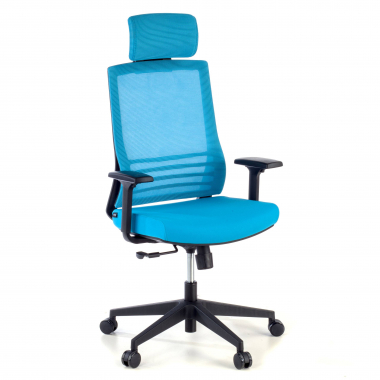 chaise de bureau bleu avec appui tete maille accoudoirs reglables 1d soutien lombaire appui tete 1