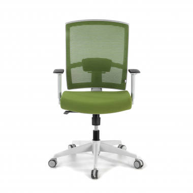 chaise ergonomique blanc vert structure blanche maille accoudoirs reglables 1d soutien lombaire 4