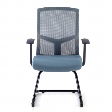 Professionnel