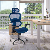 Chaise Ergonomique Ergocity, avec coussin lombaire et accoudoirs 3D