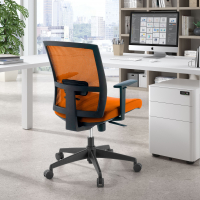 Chaise de bureau ergonomique Akira, mécanisme synchronisé