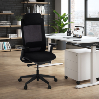 Chaise de Bureau Ergonomique Intouch black, Totalement Ajustable