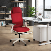 Chaise de Bureau Ergonomique Intouch white, Totalement Ajustable
