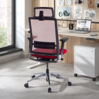 Chaise de Bureau Global, mécanisme synchronisé, appuie-tête