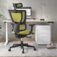 Chaise Ergonomique Energy, modèle premium, Technologie avancée