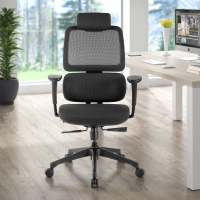 Chaise Ergonomique Bjorg, premium, double coussin lombaire
