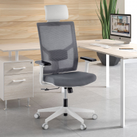 Chaise pour Ordinateur Ergonomique Verdi white, avec appui-tête et accoudoirs ajustables