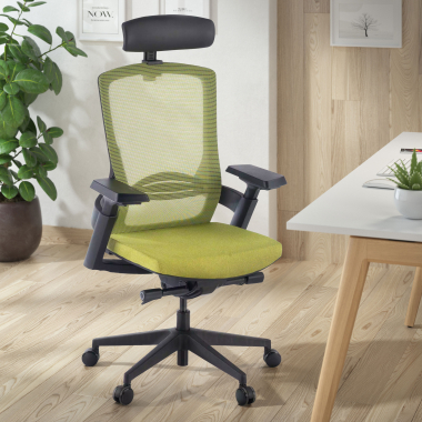chaise ergonomique vert wagner maille accoudoirs reglables 3d soutien lombaire 2