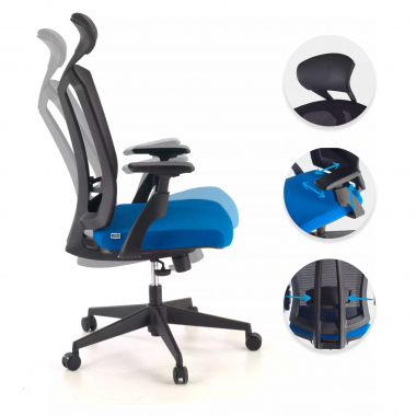 chaise ergonomique bleu ridley maille accoudoirs reglables 3d soutien lombaire appui tete 3