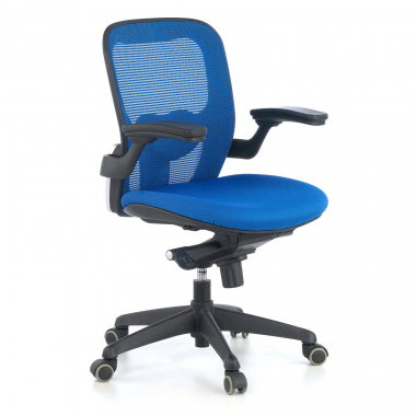 chaise ergonomique bleu chaise de bureau maille accoudoirs mobiles soutien lombaire 1